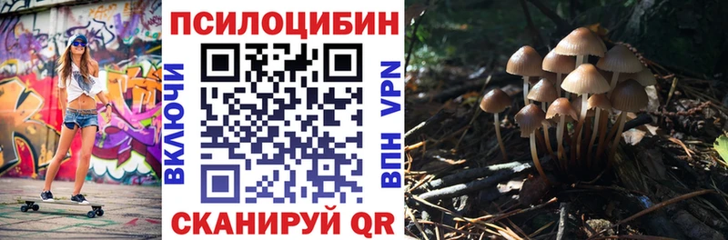 Купить закладки  Александровское  Псилоцибиновые грибы Psilocybine cubensis 